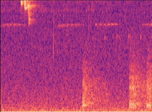 Noisy gunshot